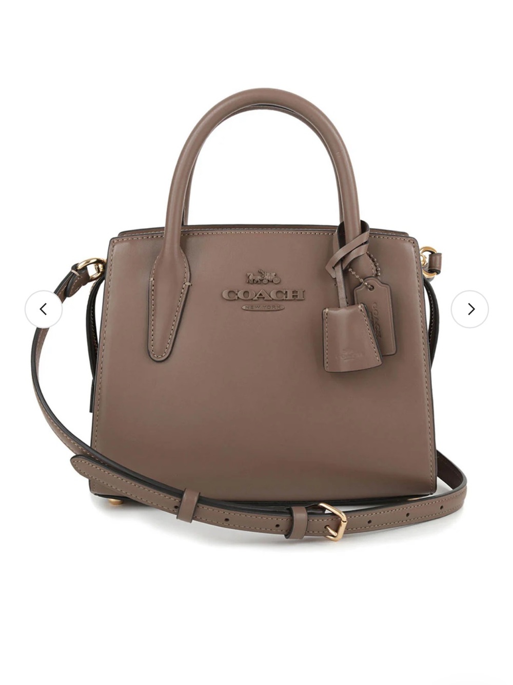 COACH Andrea Carryall Bag in Dark Stone